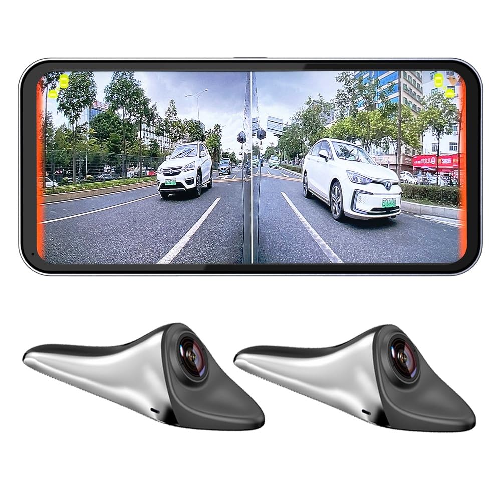 Car Blind Spot Camera with Display System BSD Warning Assistance and Monitoring System CMS