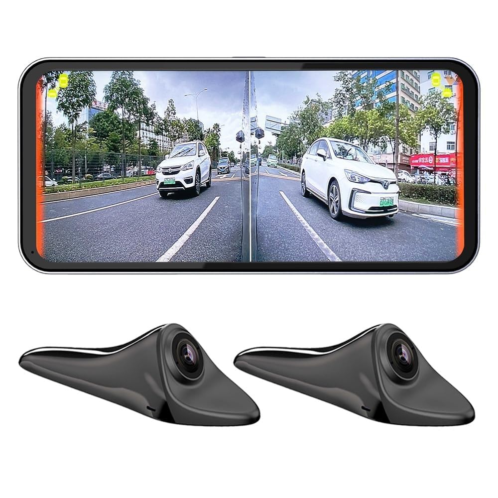 Car Blind Spot Monitoring Camera System with Display and BSD Warning Assistance Recorder
