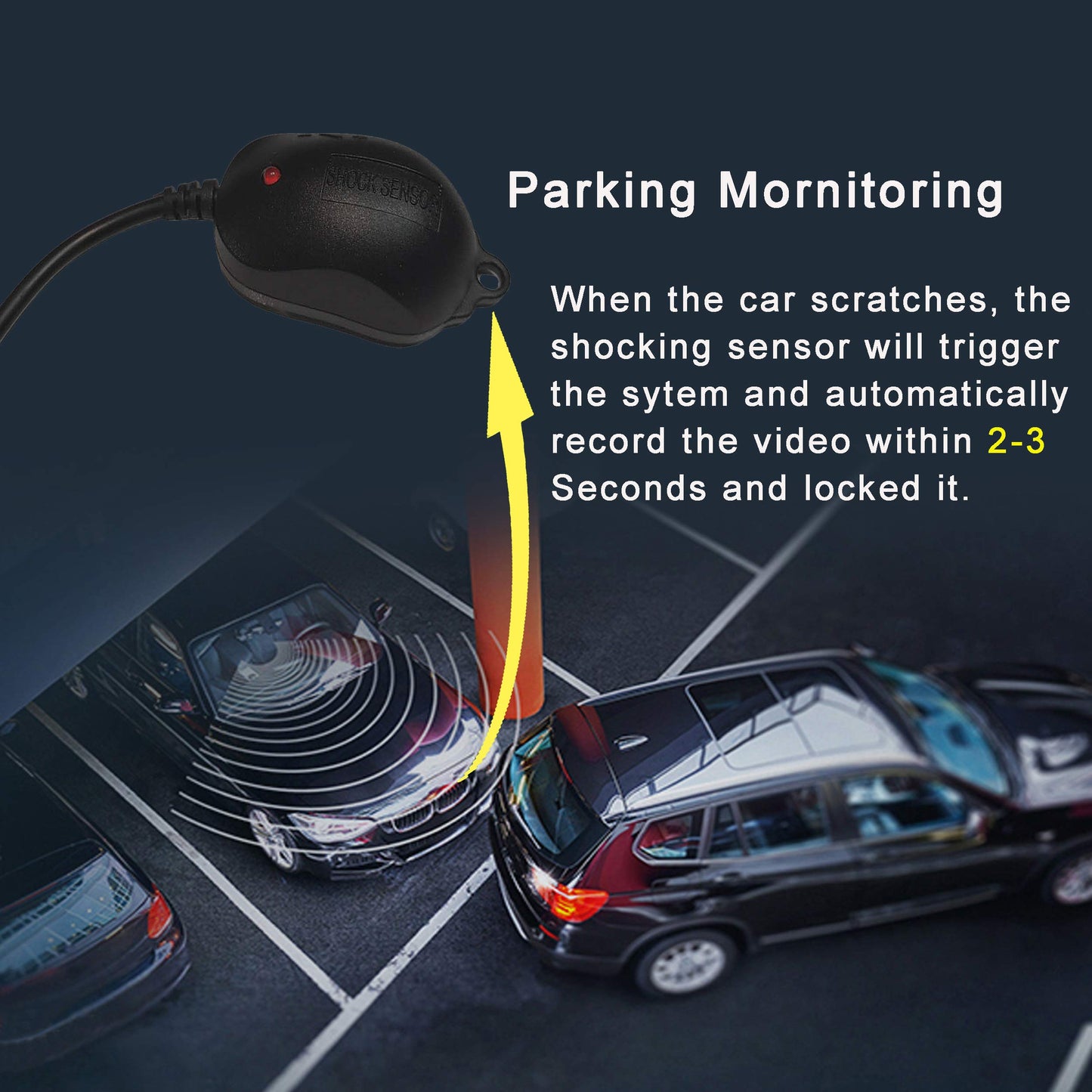 360° Bird View Panoramic Car Camera System with 7" Display 1080P DVR